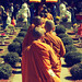 Minh Dang Photo 14