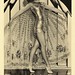 Harvey Fox Photo 4