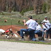 Rick Brindle Photo 8