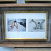 Susan Inglett Photo 3