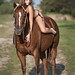 Robyn Brown Photo 12