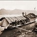 Ernest Wilson Photo 4
