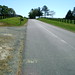 Wesley Buck Photo 4