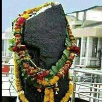Rohit Ruhela Photo 6