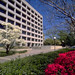 Darla Moore Photo 11