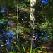 Diane Waters Photo 10