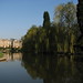 John Coombes Photo 13