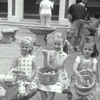 Sharon Freeman Photo 37