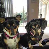 Suzanne Singleton Photo 20