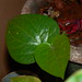 Kun Ye Photo 1