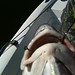 Kelly Trip Photo 8