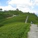 Lily Liou Photo 9