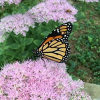 Vicky Grider Photo 8