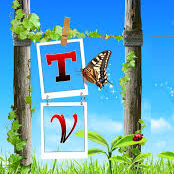 Viet To Photo 12