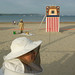 Mark Bees Photo 3