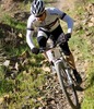 Bill Brock Photo 31