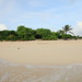 Sandy Dykes Photo 6