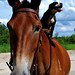 Callie Frazier Photo 2