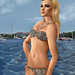 Don Fierro Photo 5