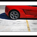 Scott Lambo Photo 6