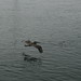 Grace Waters Photo 12
