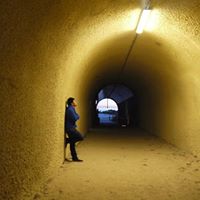 David Liu Photo 36