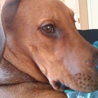 Leeroy Jenkins Photo 5