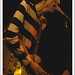 Phillip Lockett Photo 10