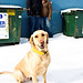Tim Flaherty Photo 6
