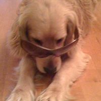 Bruno Trejo Photo 1
