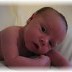 Zach May Photo 8