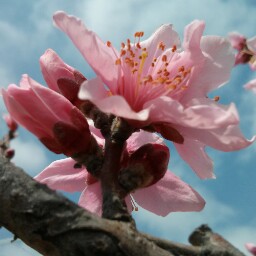 Robin Meng Photo 17