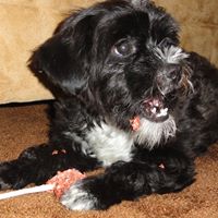 Judy Behnke Photo 9