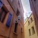 Andres Mackintosh Photo 2