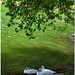 Stuart Hinds Photo 6