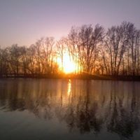 Dale Grimm Photo 27