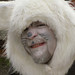 April Elkins Photo 5