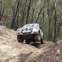 David Alford Photo 30