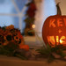 Kellie Nicks Photo 4