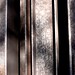 Larry Park Photo 5