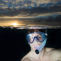 Kurt Bertels Photo 6