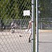 Lyle Bush Photo 8