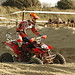 Steven Neil Photo 11