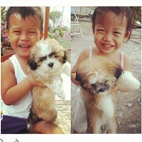 Marlon Diokno Photo 3