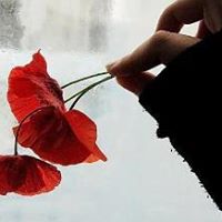 Carol Fuqua Photo 7