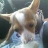 Mary Thies Photo 11