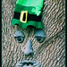 Patrick Day Photo 5