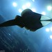 Ray Fish Photo 5