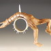Jennifer Culp Photo 12