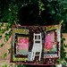 Lucinda Brown Photo 7
